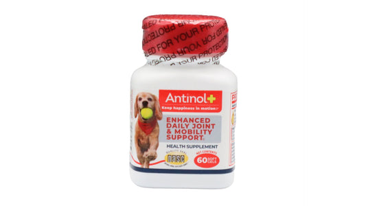Pet Enhanced Daily Joint & Mobility Support - 60 ct