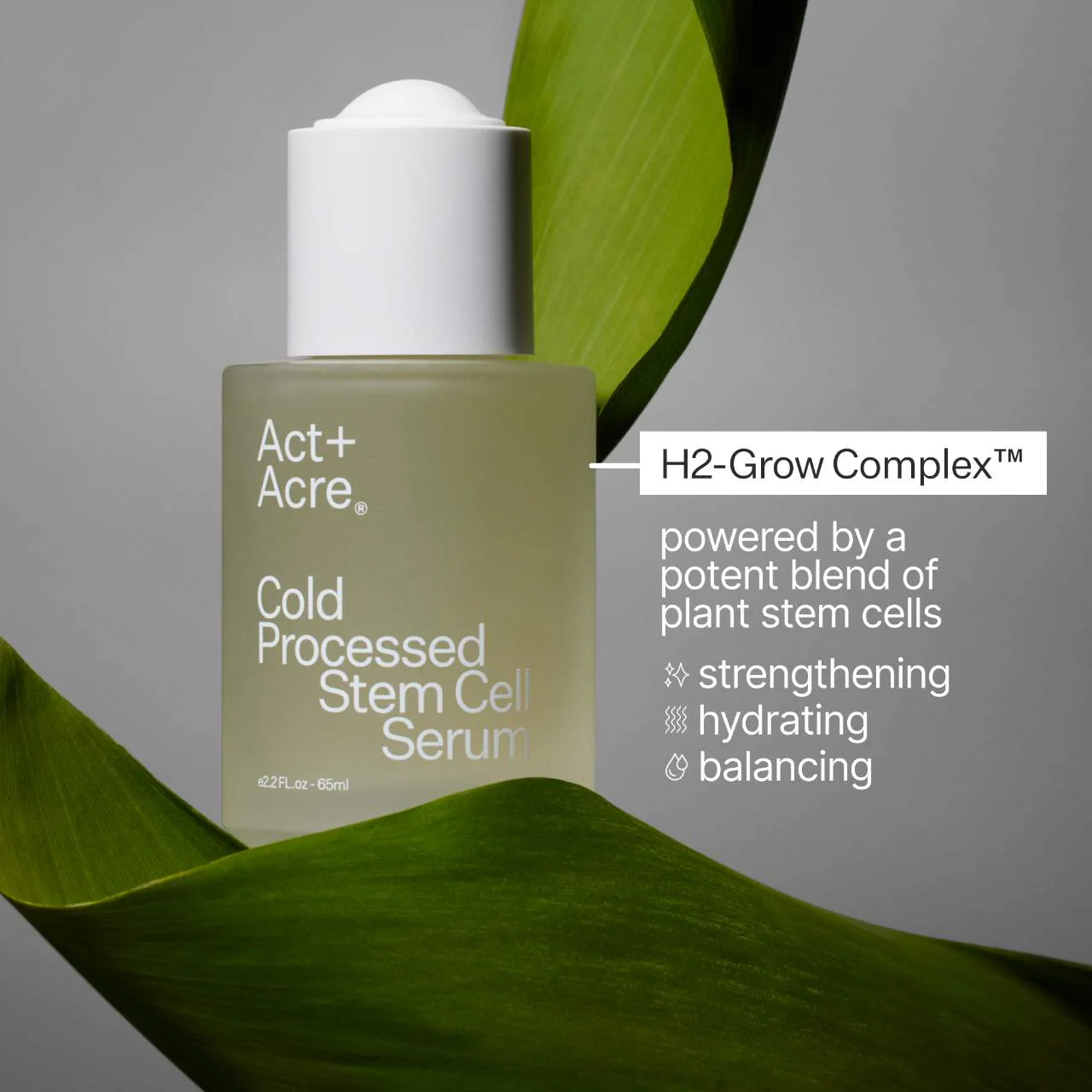 2% Stem Cell H-2 Grow Complex ™ Scalp Serum For Thicker-Looking Hair - 2.2 fl oz